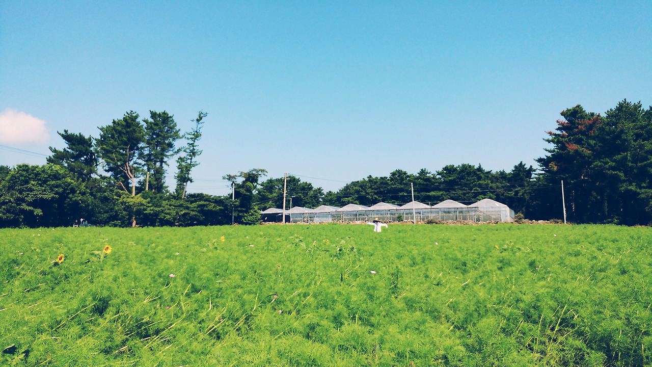 2017-09-12 02.37.32 1.jpg