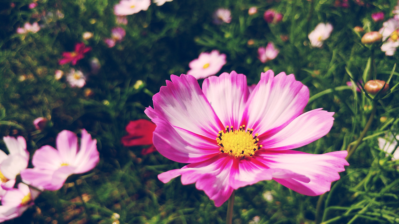 2017-09-12 02.37.50 1.jpg