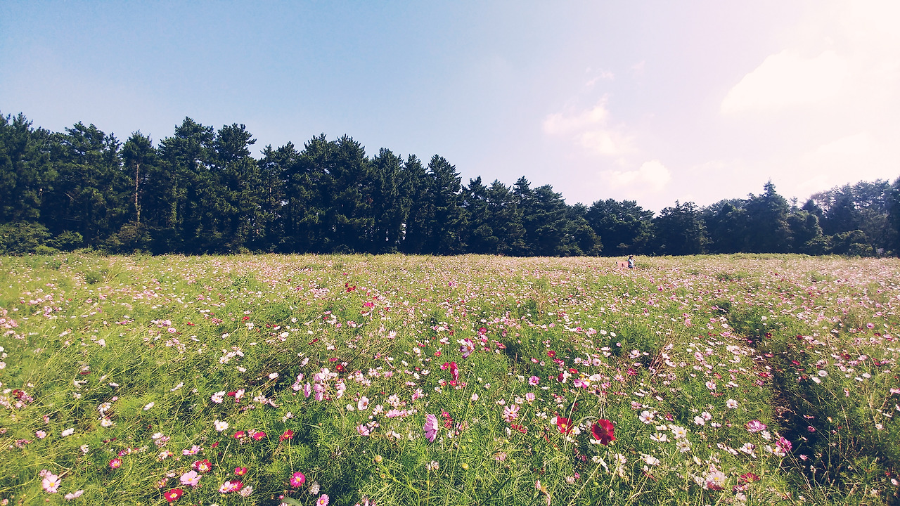 2017-09-12 02.37.59 1.jpg