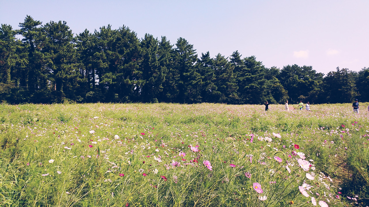 2017-09-12 02.37.35 2.jpg