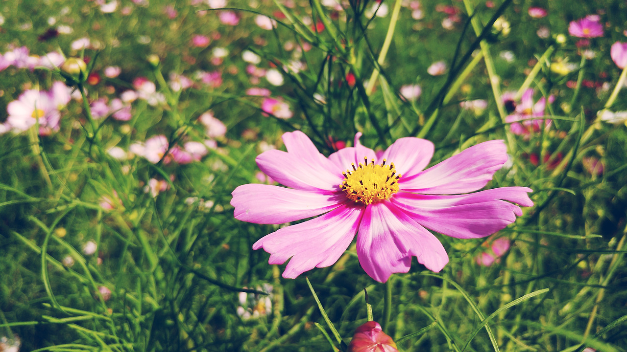 2017-09-12 02.37.58 1.jpg