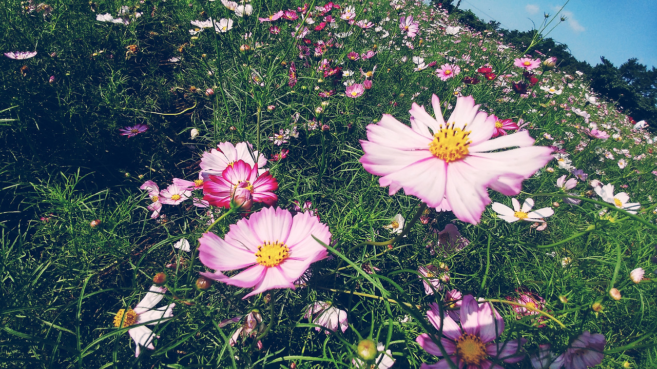 2017-09-12 02.37.51 1.jpg