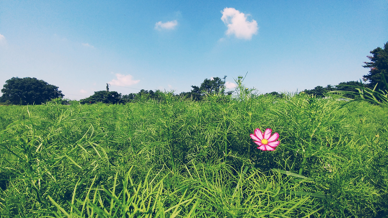 2017-09-12 02.37.35 1.jpg