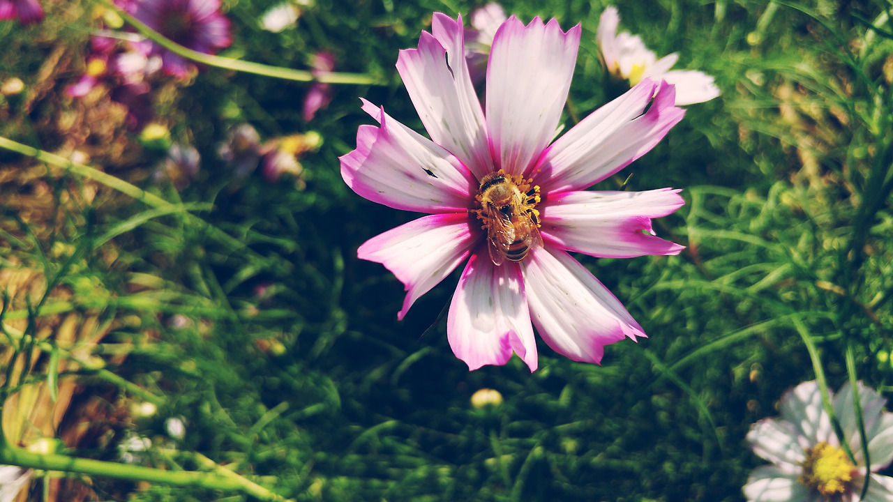 2017-09-12 02.37.55 1.jpg