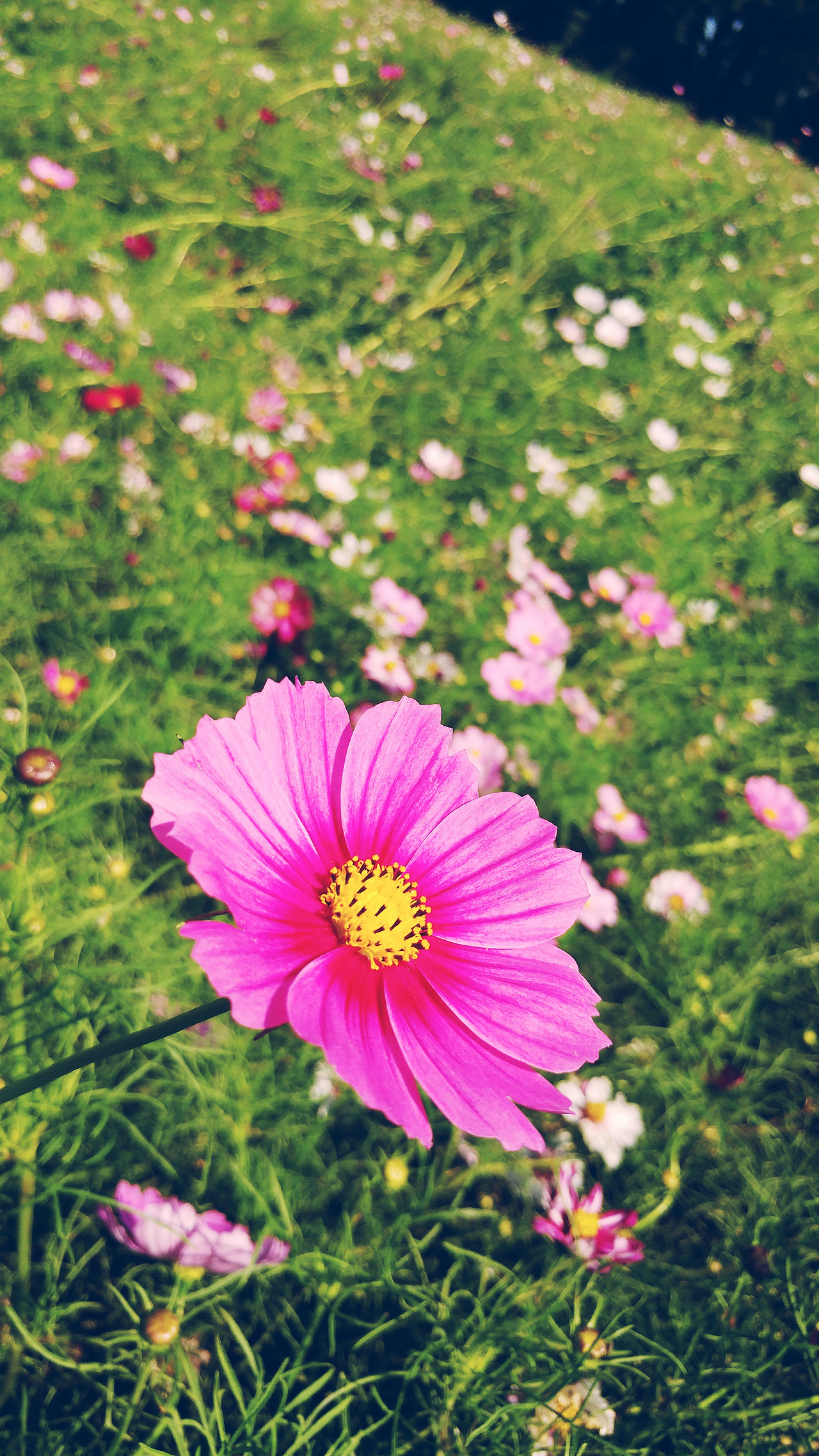 2017-09-12 02.37.37 1.jpg