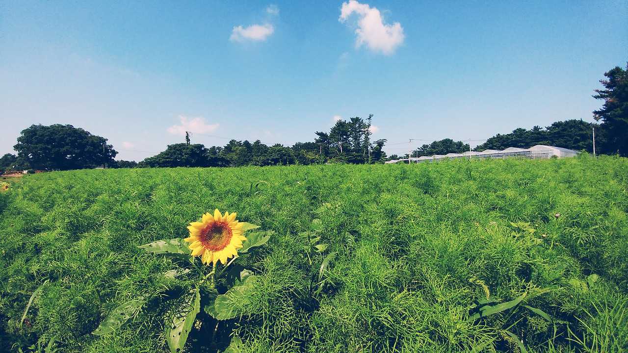 2017-09-12 02.37.33 1.jpg