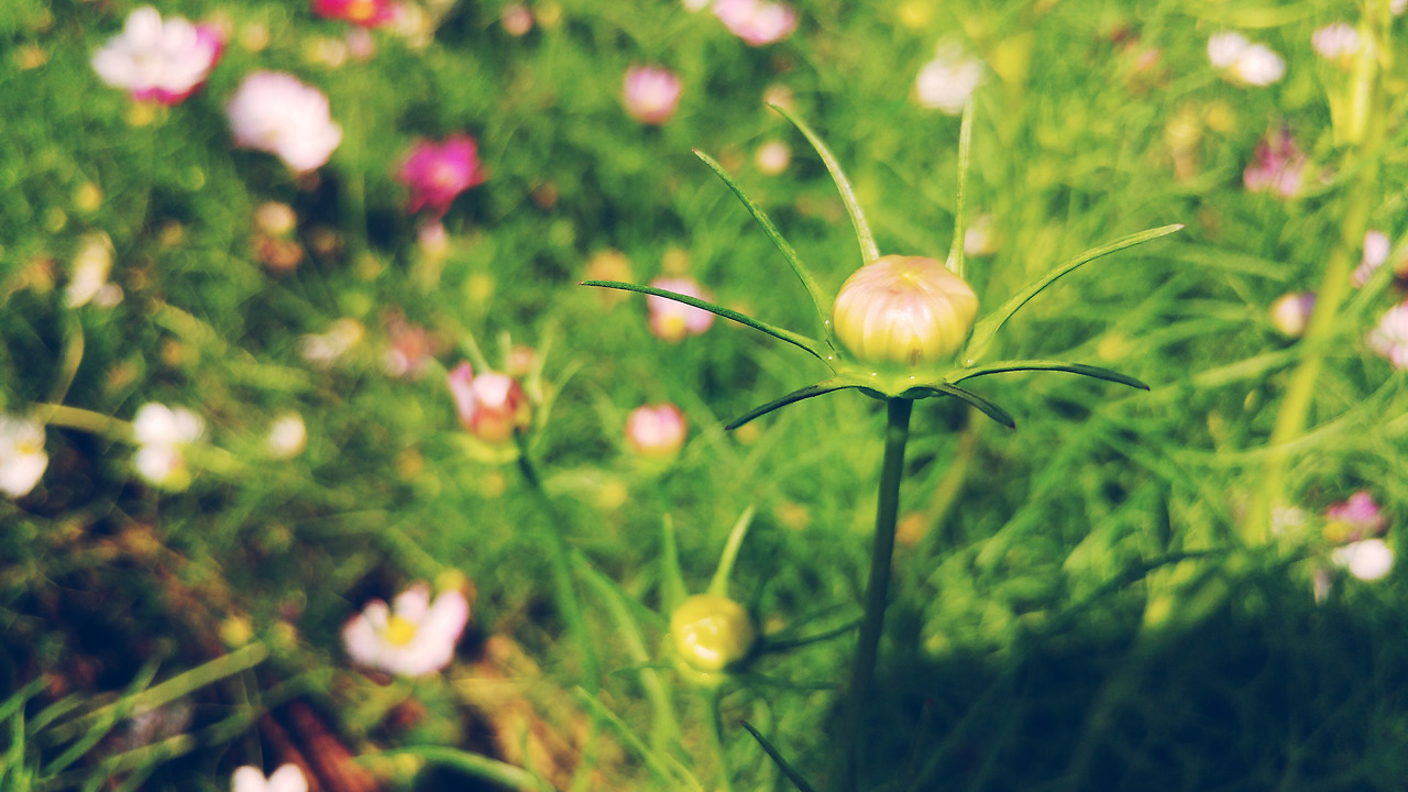 2017-09-12 02.37.46 1.jpg