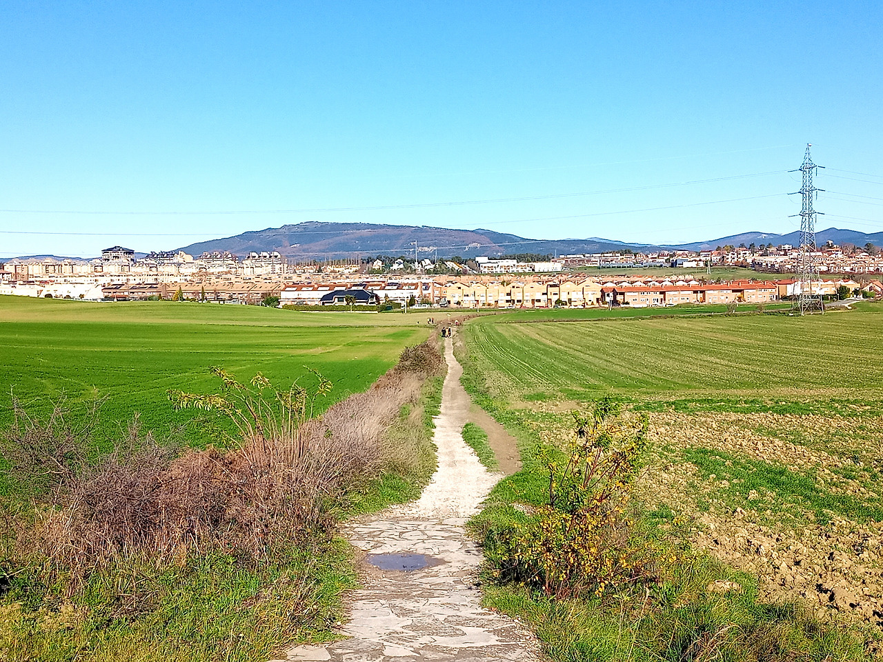 사본 -pamplona_2_6.jpg