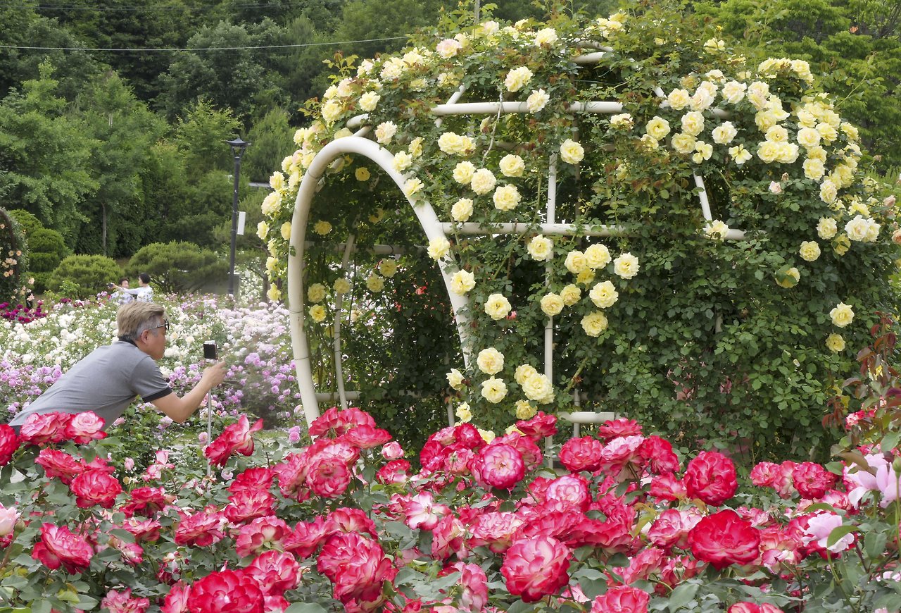 L1067876 - 복사본.jpg