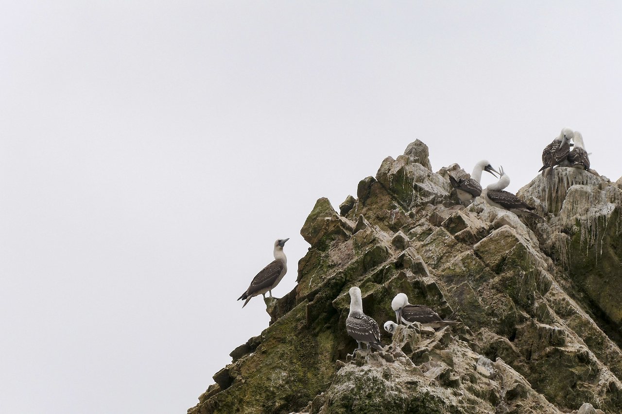 L1071515 - 복사본.jpg