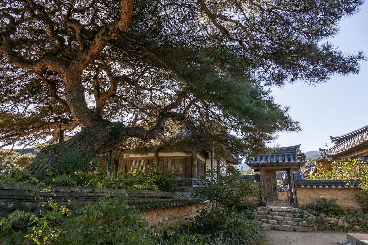 L1025542 - 복사본.jpg