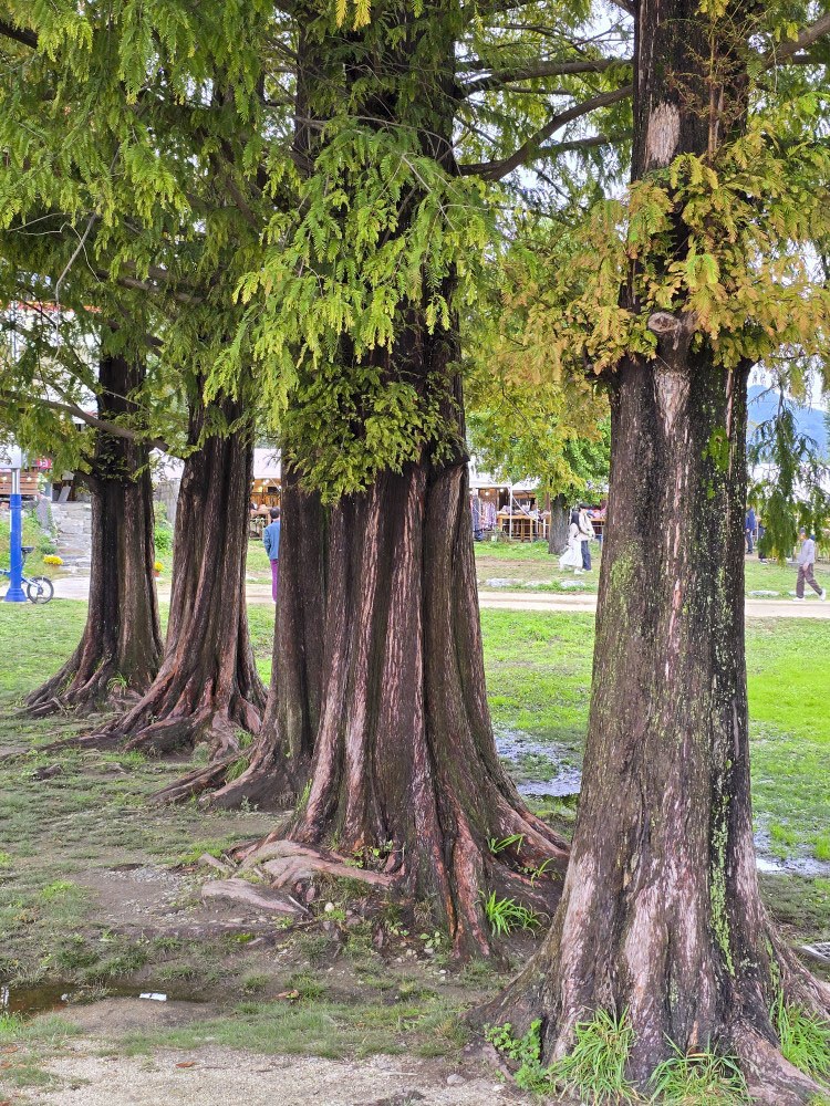 KakaoTalk_20251024_074659589_13 (1).jpg