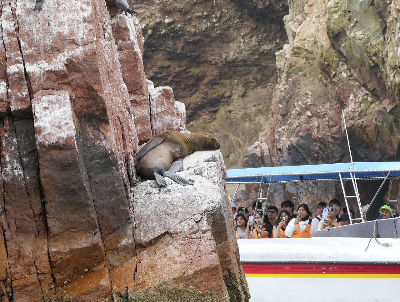 L1071526 - 복사본.jpg