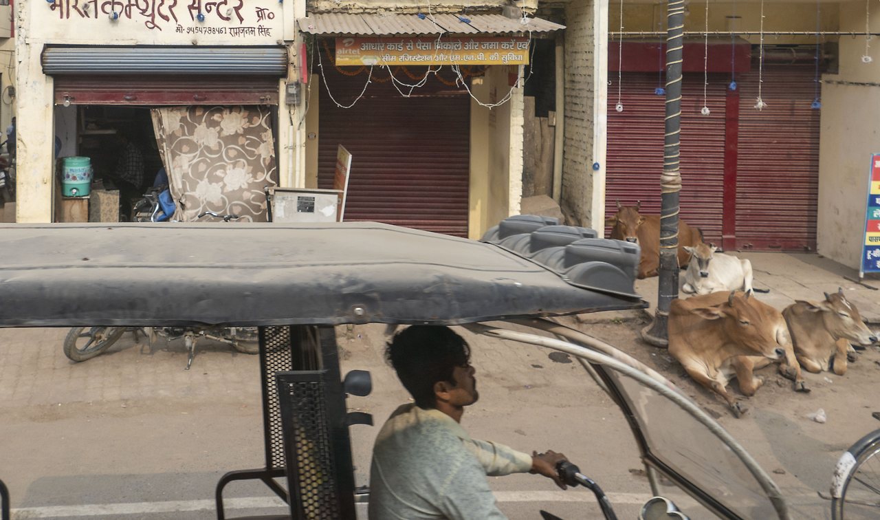 L1027247 - 복사본.jpg