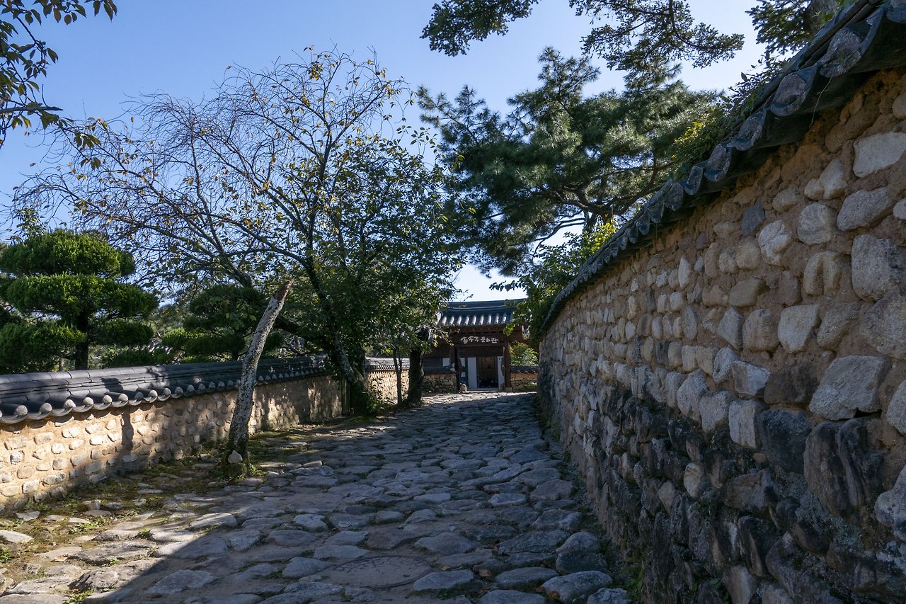 L1025528 - 복사본.jpg