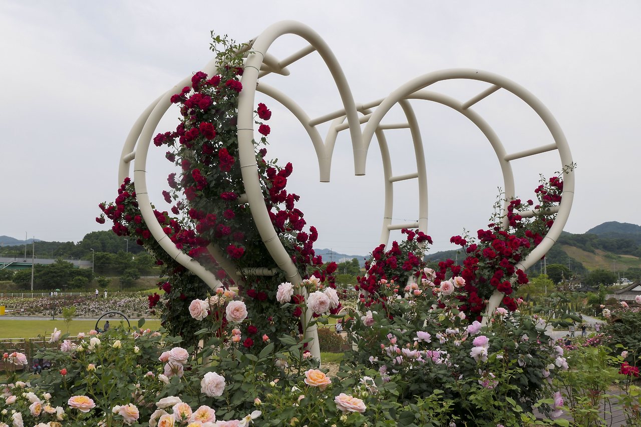 L1067868 - 복사본.jpg