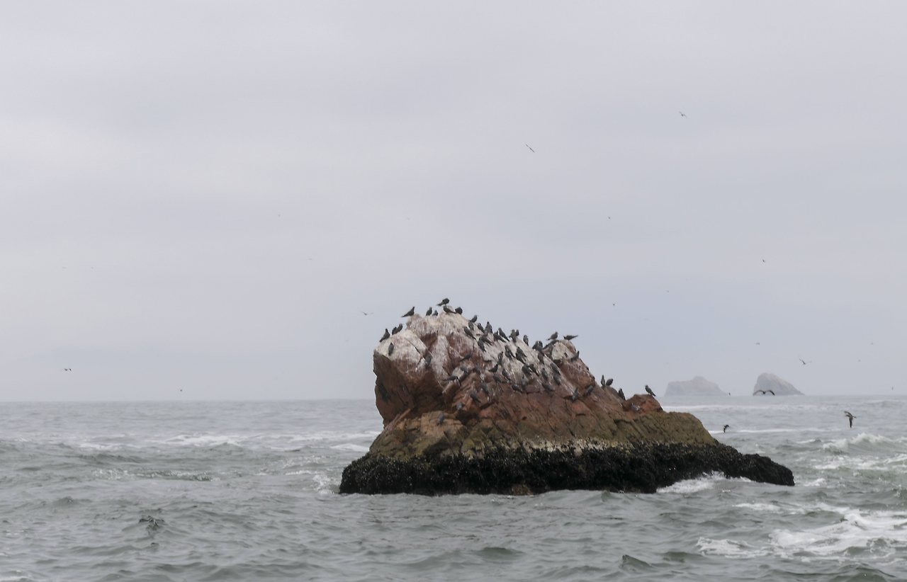 L1071454 - 복사본 - 복사본.jpg