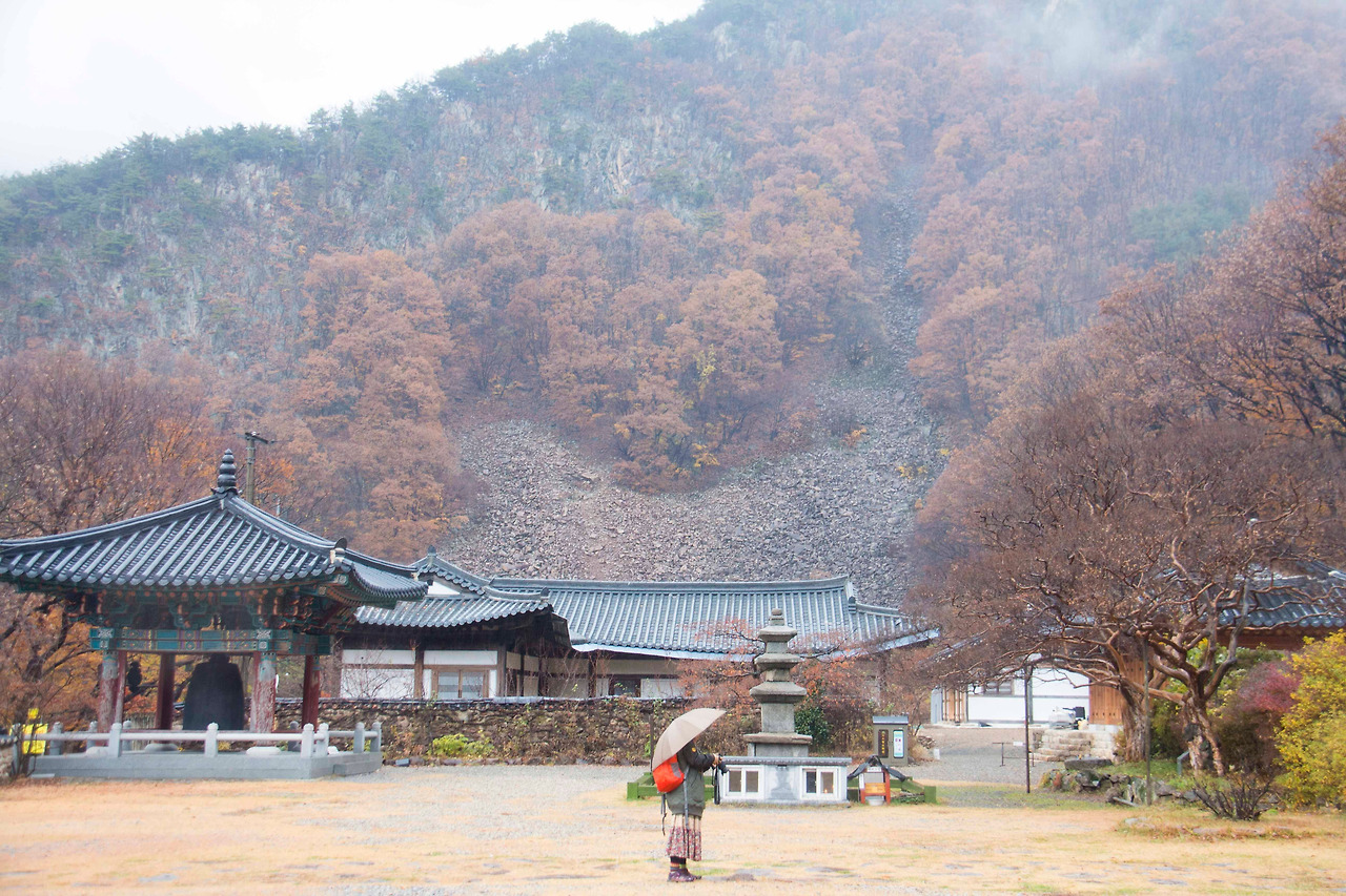 백화산 호랑이.jpg