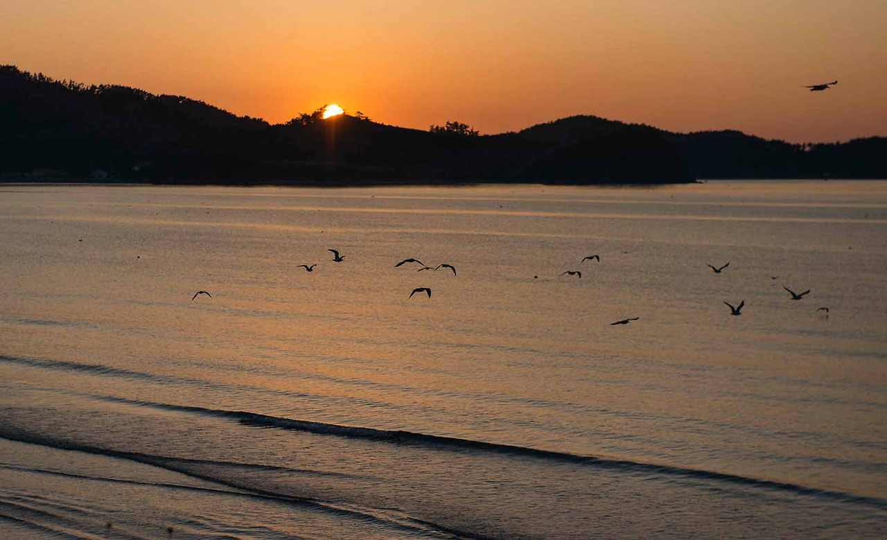 신두리 일몰.jpg