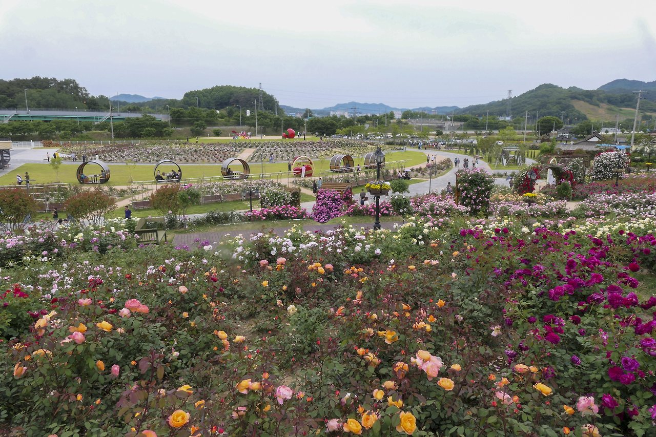 L1067870 - 복사본.jpg