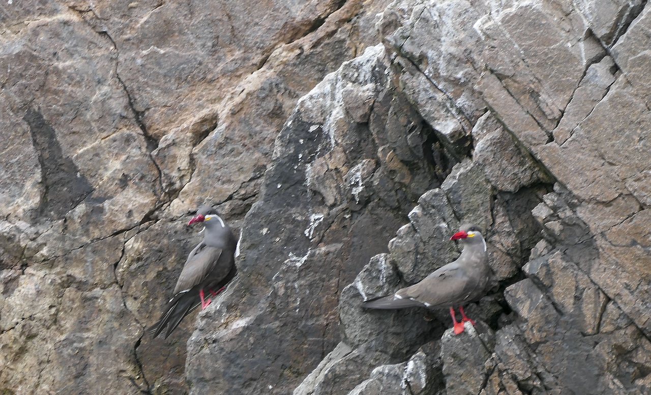 L1071491 - 복사본.jpg