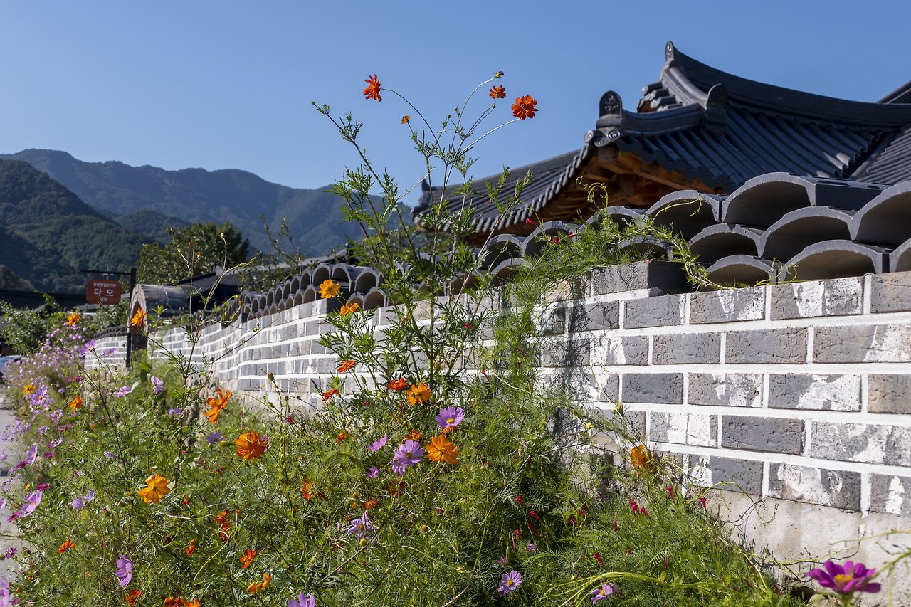 L1025518 - 복사본.jpg