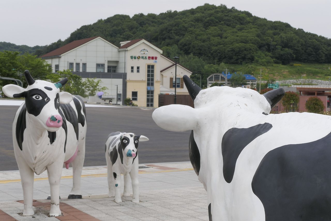 L1067866 - 복사본.jpg