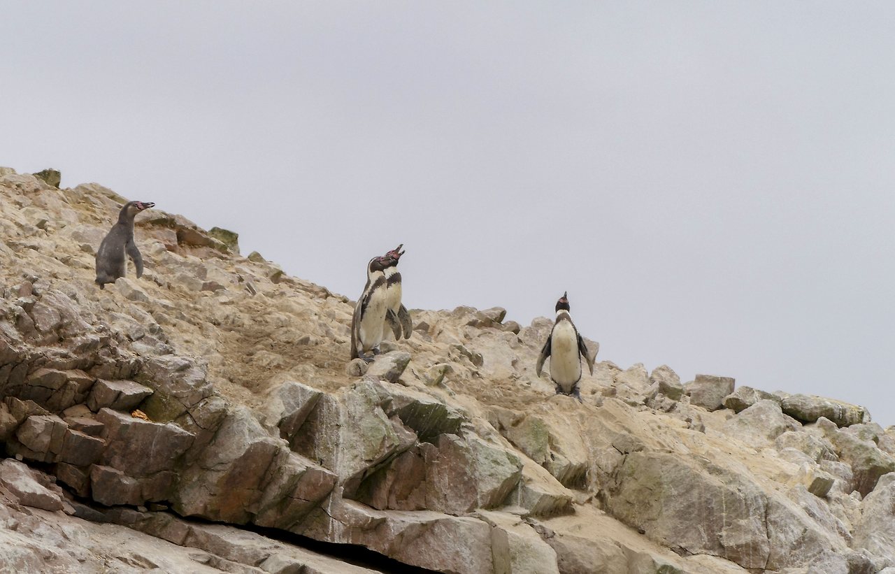 L1071459 - 복사본 - 복사본.jpg