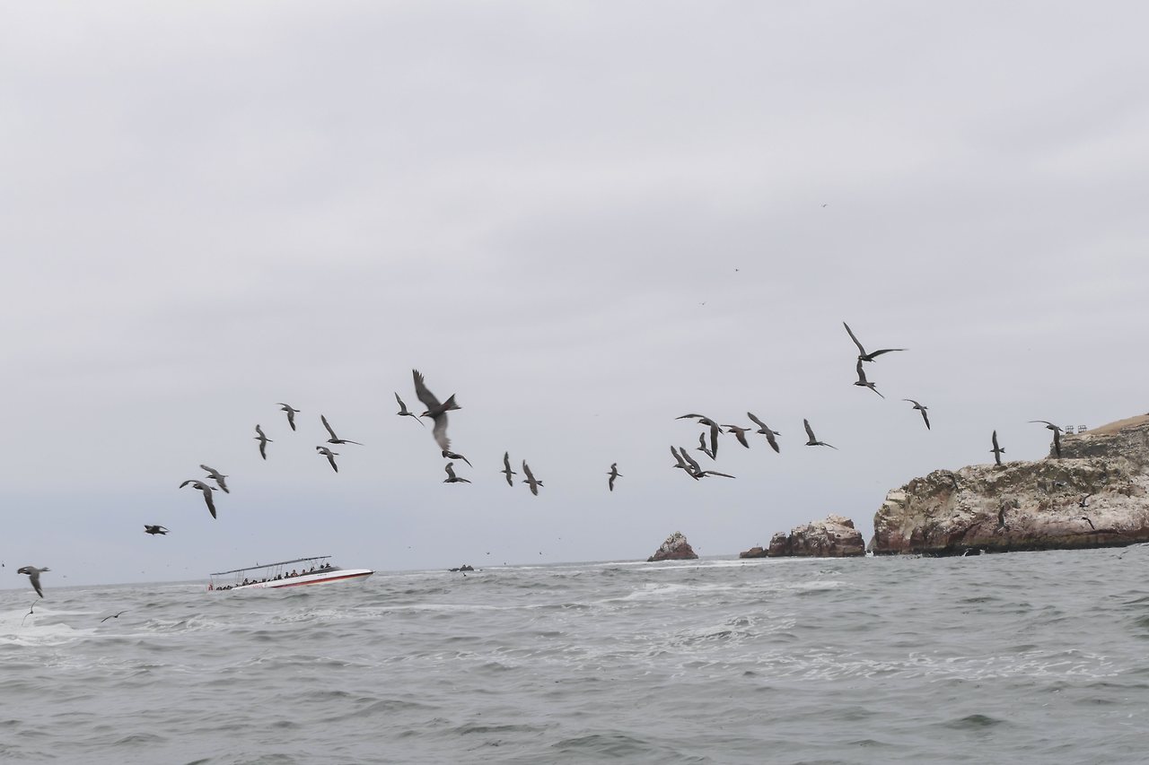 L1071523 - 복사본.jpg