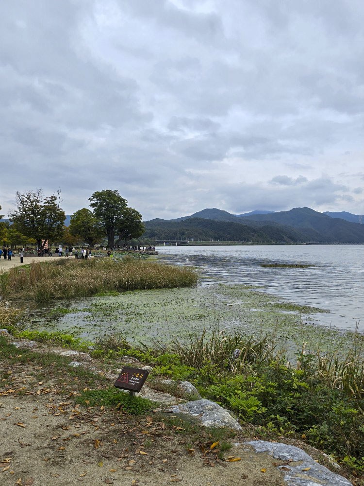 KakaoTalk_20251024_074659589_14 (1).jpg