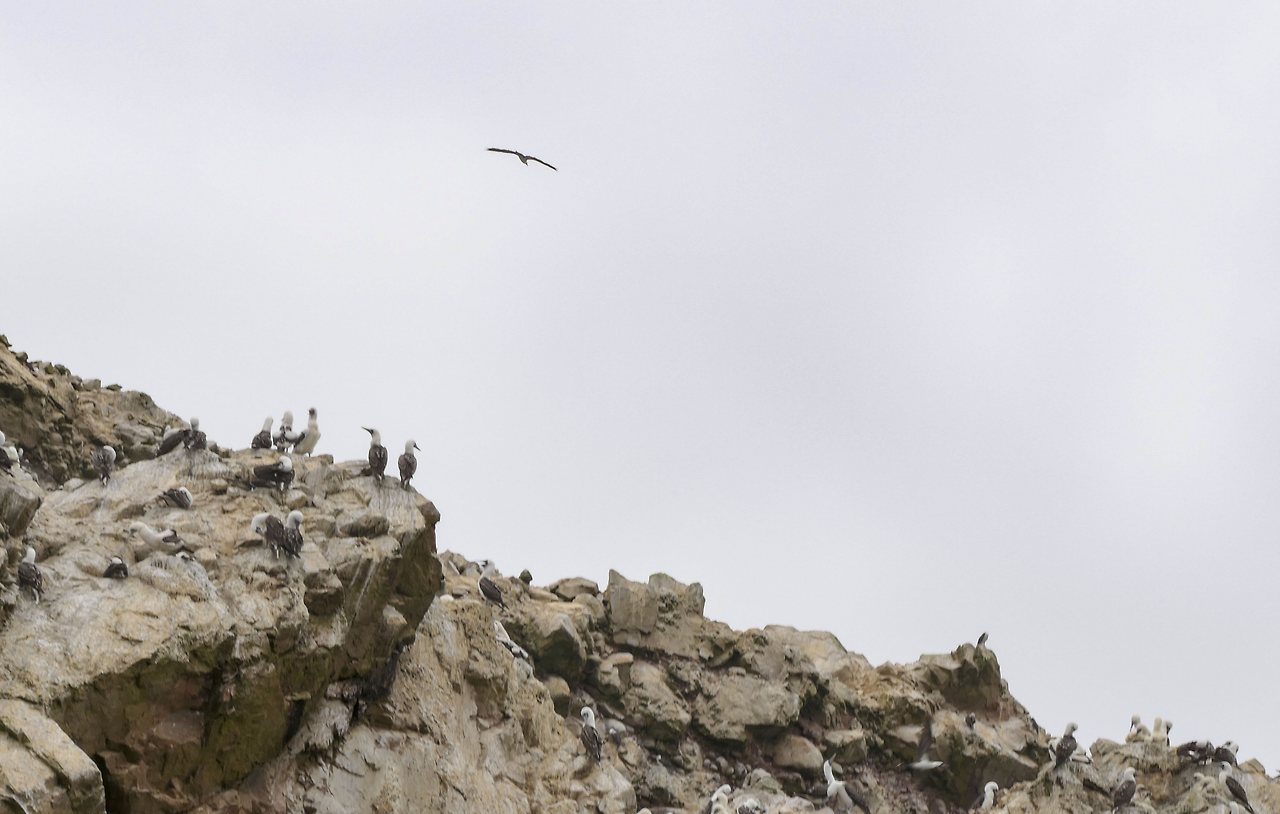 L1071508 - 복사본.jpg