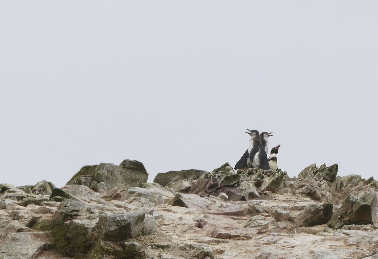 L1071484 - 복사본.jpg