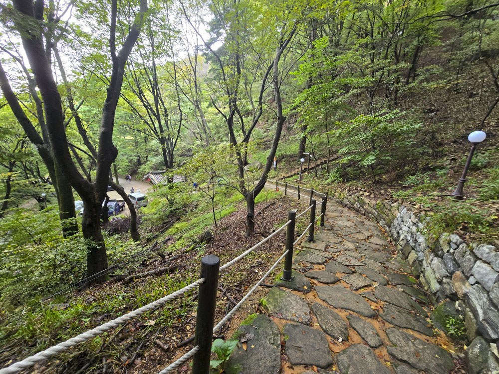 KakaoTalk_20251024_074659589_20 (1).jpg