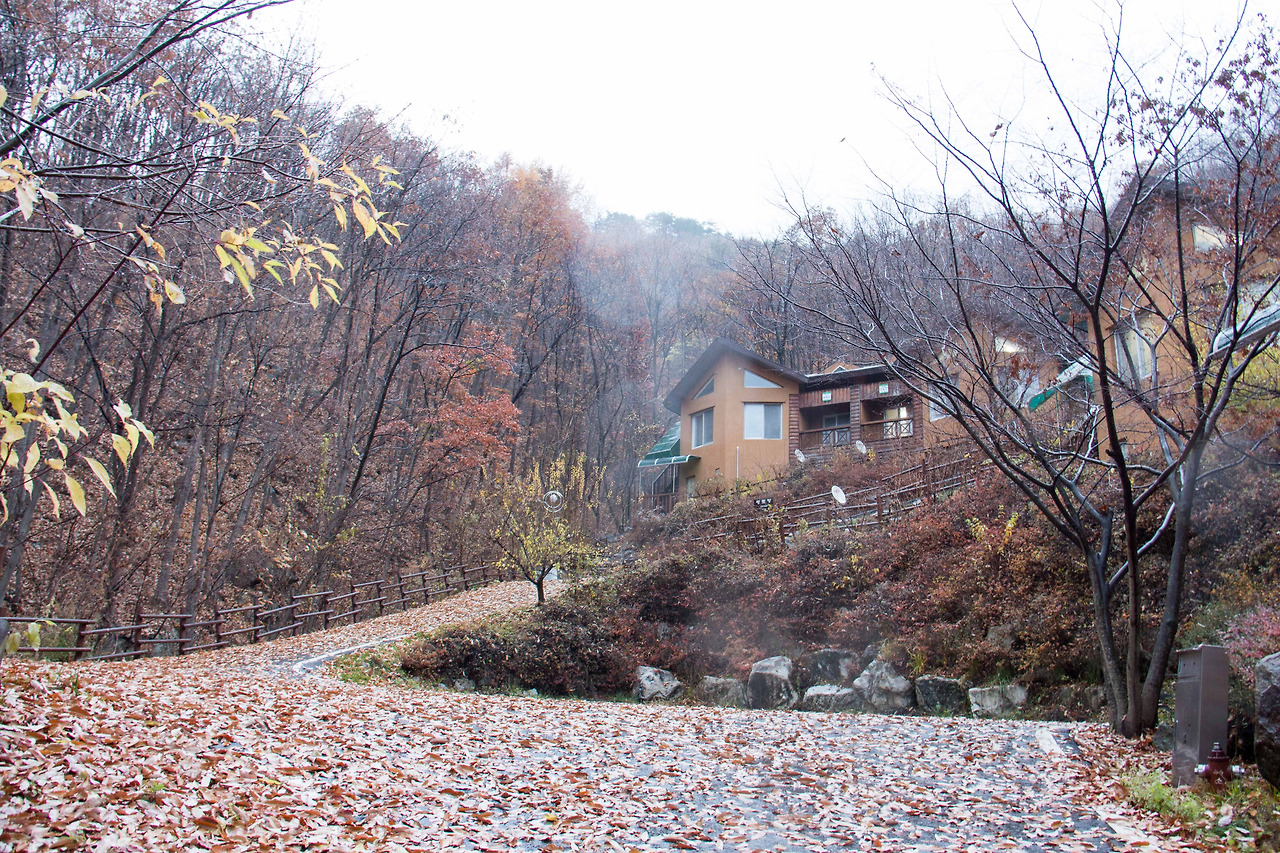 민주지산 자연휴양림.jpg