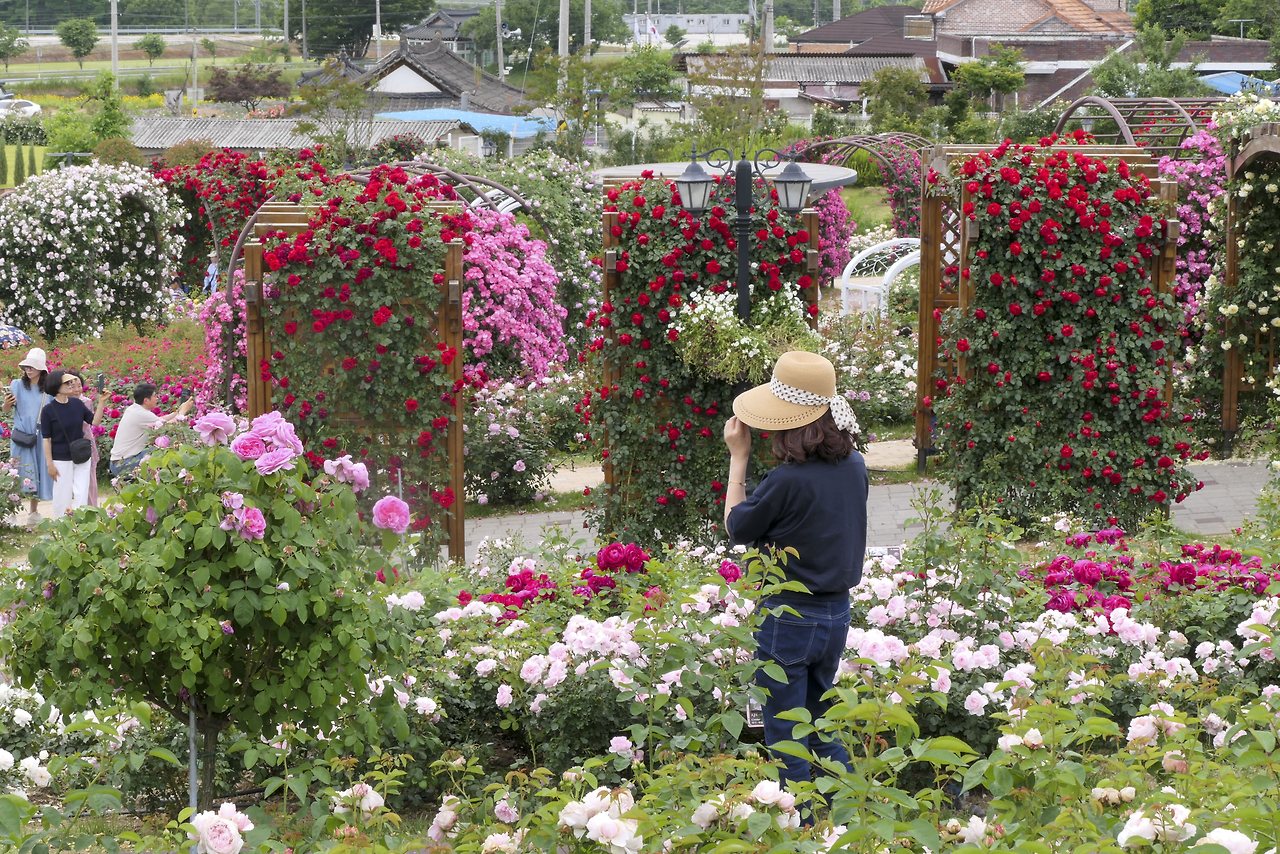 L1067872 - 복사본.jpg