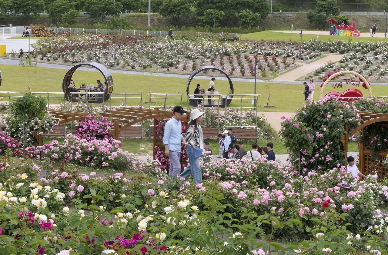 L1067874 - 복사본.jpg