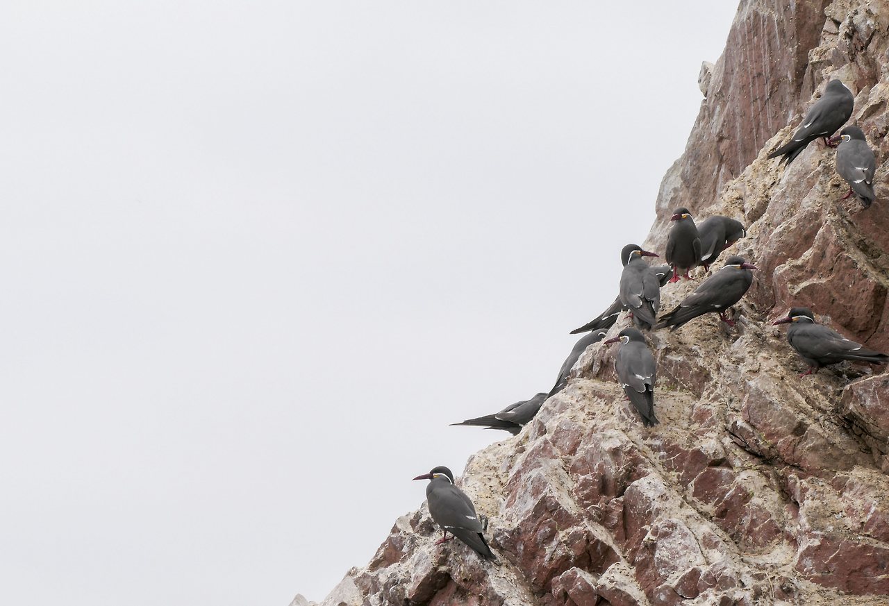 L1071468 - 복사본 - 복사본.jpg