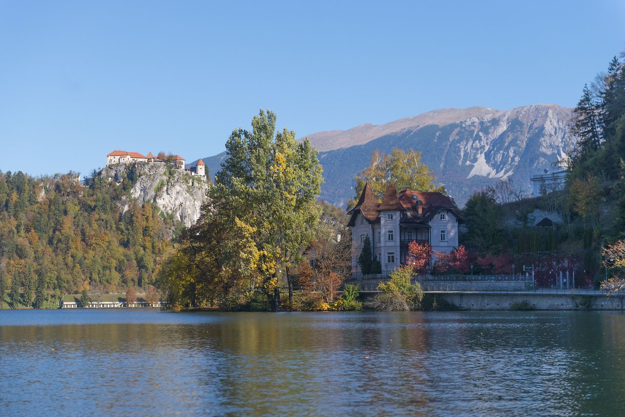 _DSC5511 - 복사본.jpg