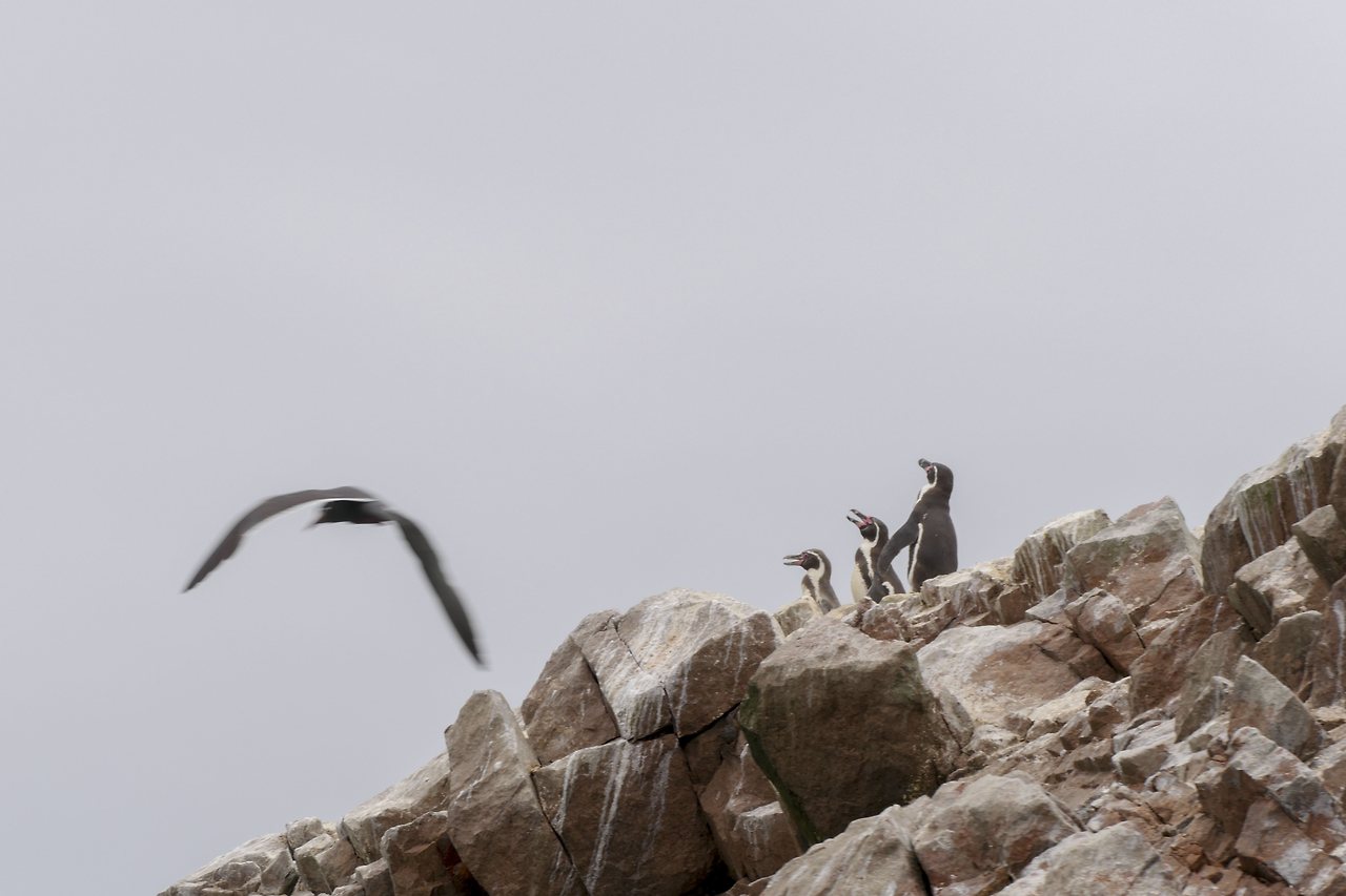 L1071462 - 복사본 - 복사본.jpg