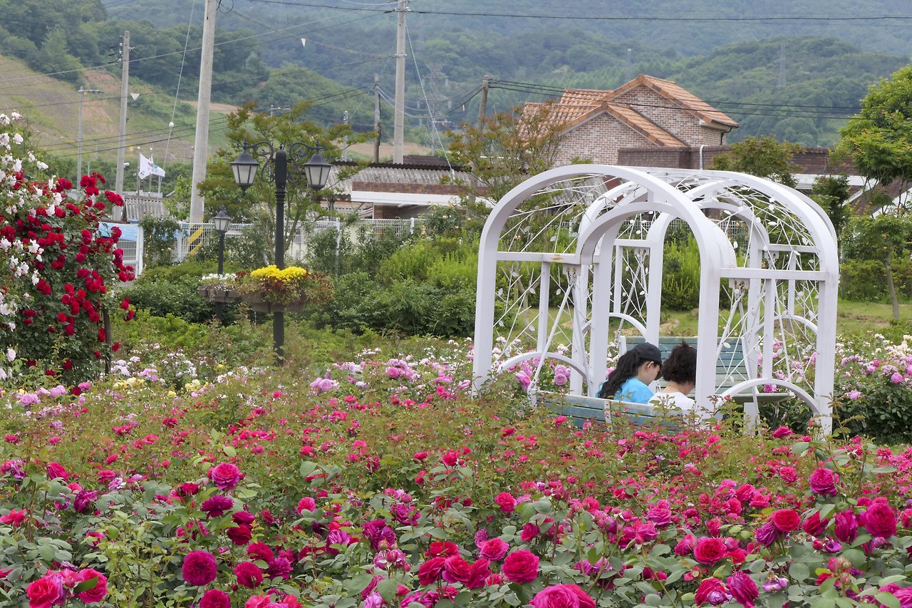 L1067884 - 복사본.jpg