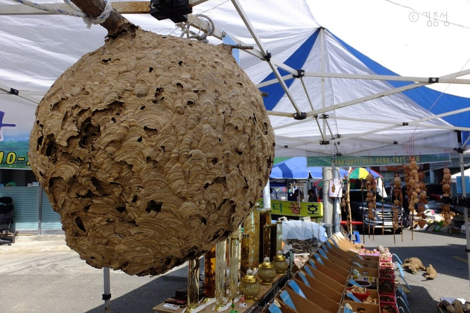 강구역-강구읍_오일장에서_파는_말벌집,_약용이란다.jpg