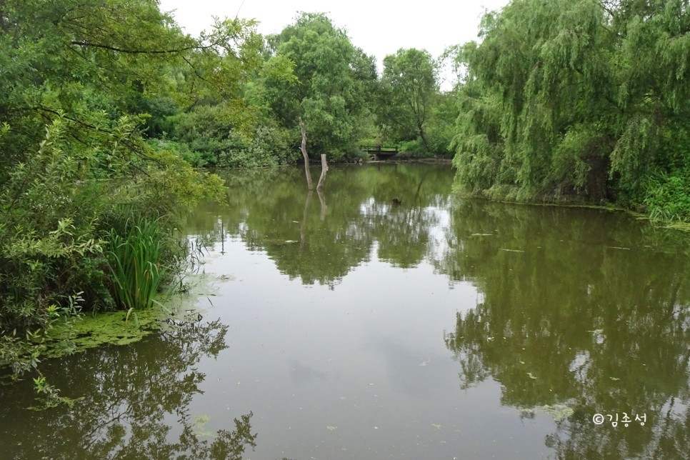 SE-d6b7ea2d-760a-482f-8d9a-cd8f6e8cf929 (1).jpg