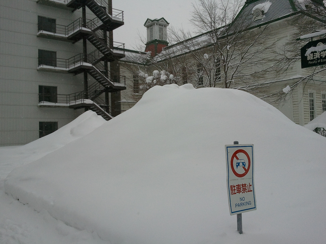 2011-01-17 13.11.40.jpg