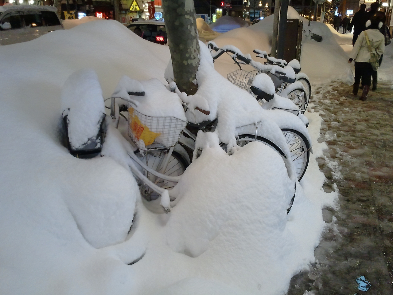 2011-01-17 21.40.54.jpg