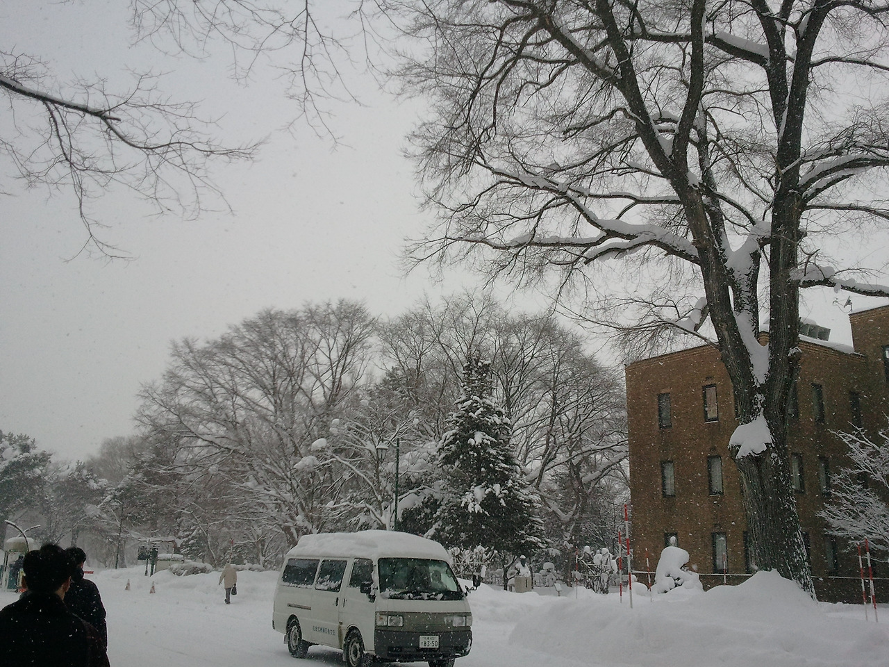 2011-01-17 09.22.31.jpg