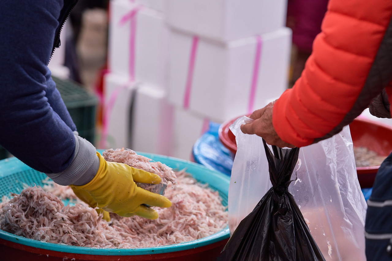 젓새우 2.jpg