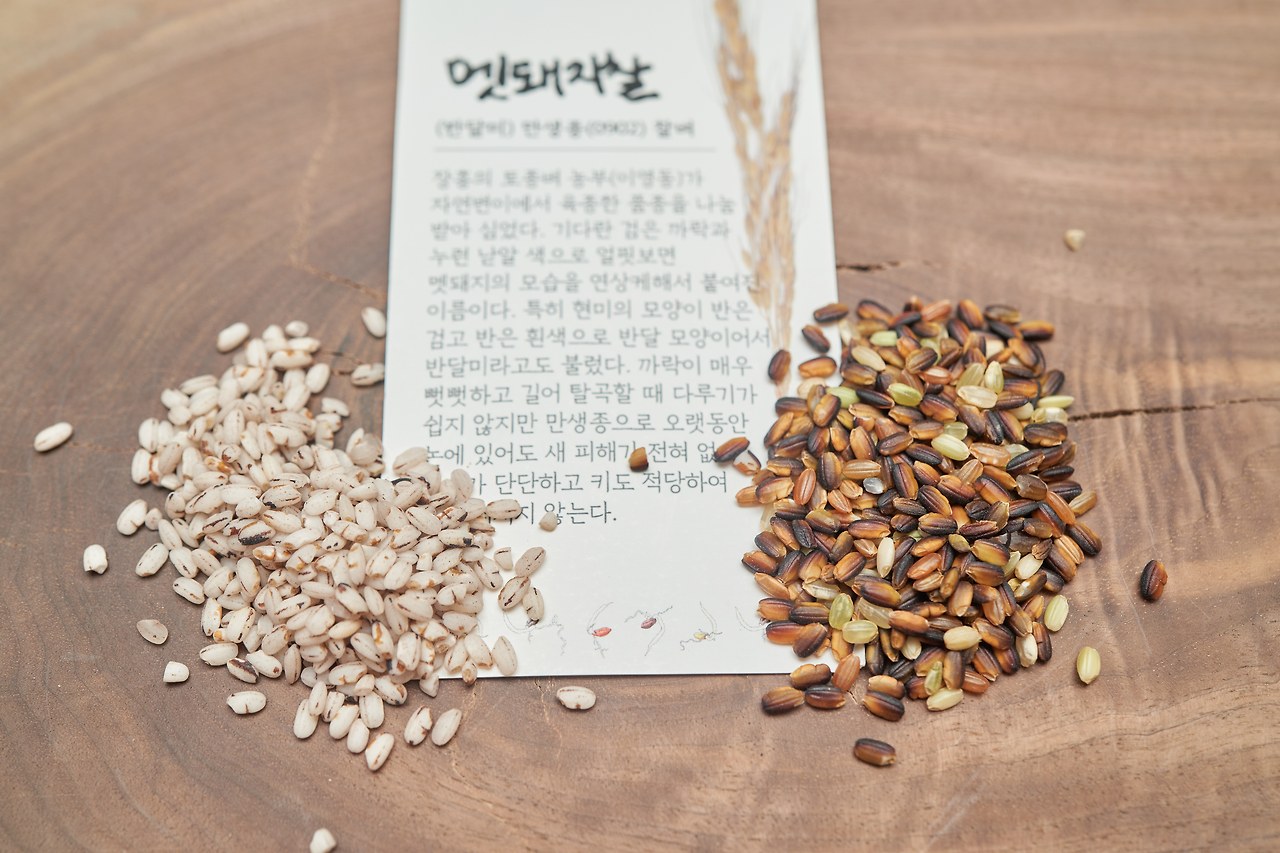 멧돼지찰 1.jpg