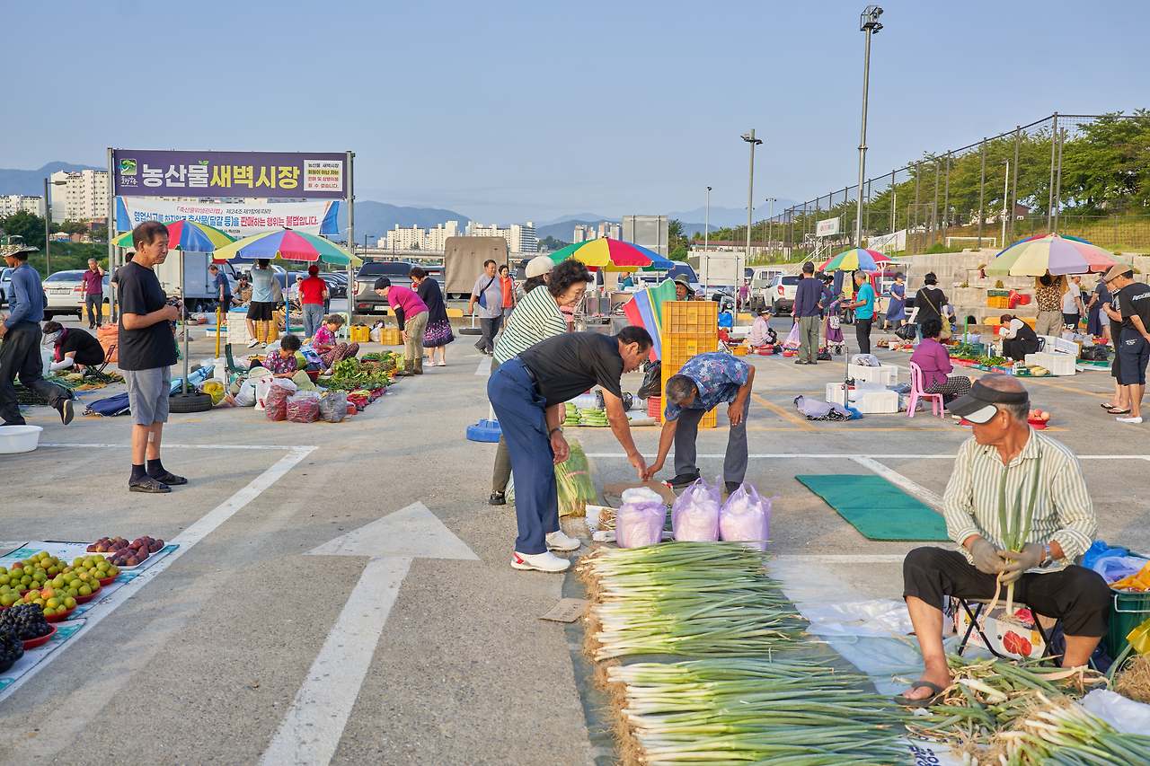 강릉양양 9.jpg