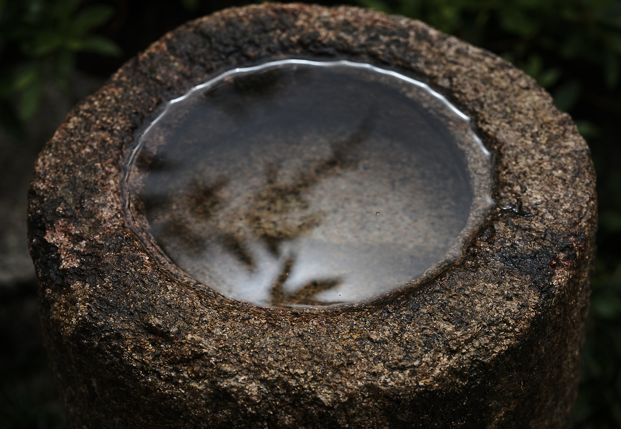 올해의 사진_11.jpg