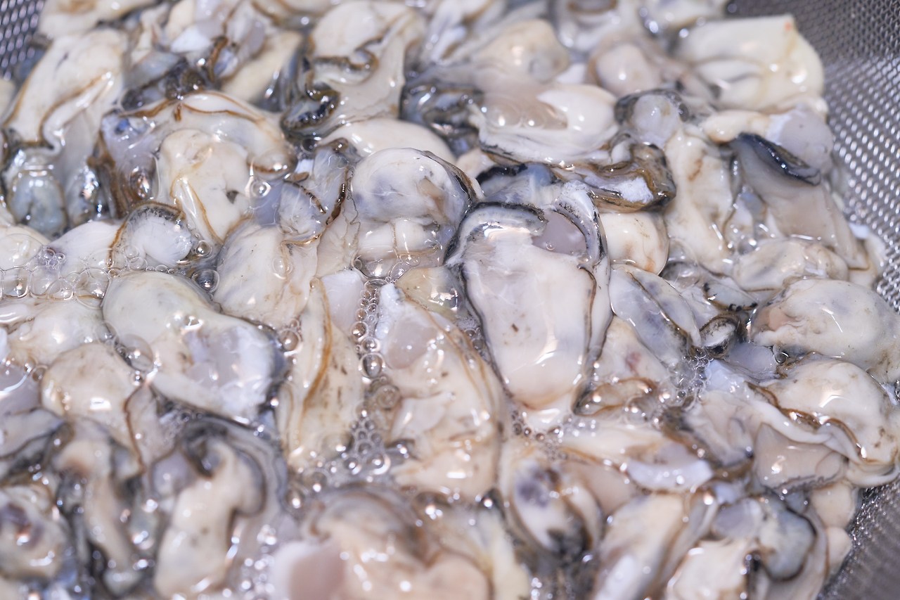 지족리굴 1.jpg